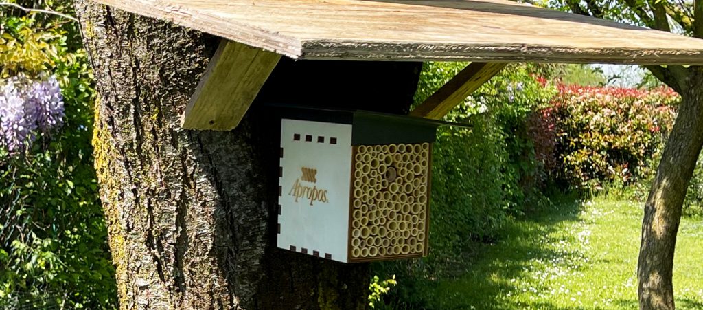 Abbiamo adottato e regalato diverse Polly House, casette sostenibili per la protezione delle api solitarie.
